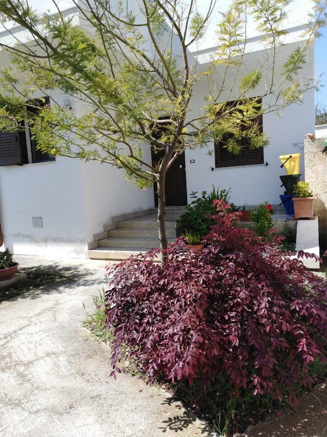 Casa Alessandra Surbo Экстерьер фото